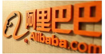 上海辛齋信息進軍電商人才服務(wù)領(lǐng)域